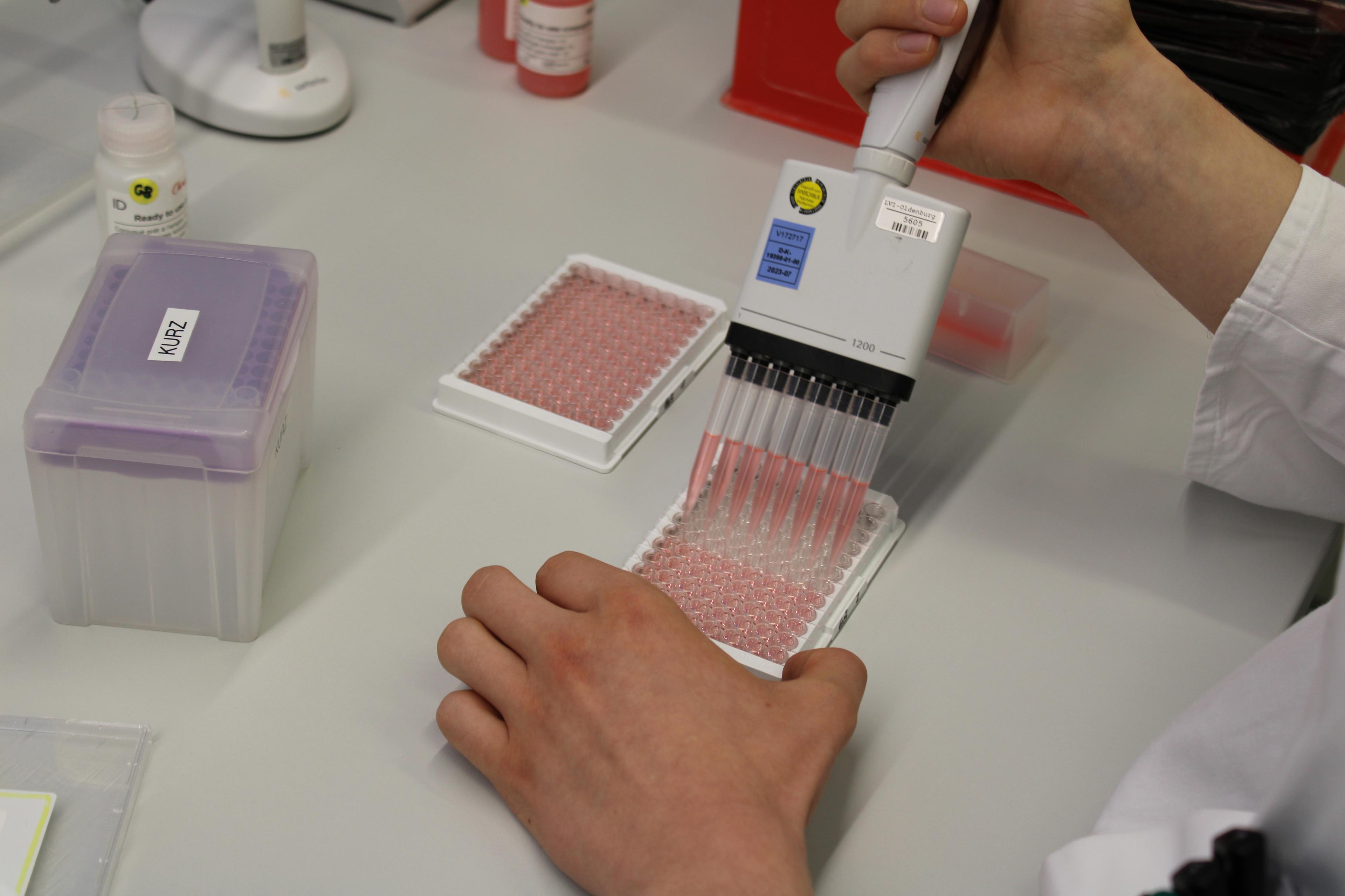 image - Niedersächsisches Landesamt für Verbraucherschutz und Lebensmittelsicherheit - Zentrale Standort Oldenburg