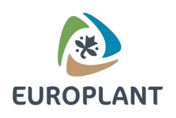 Arbeitgeberlogo von EUROPLANT Pflanzenzucht GmbH