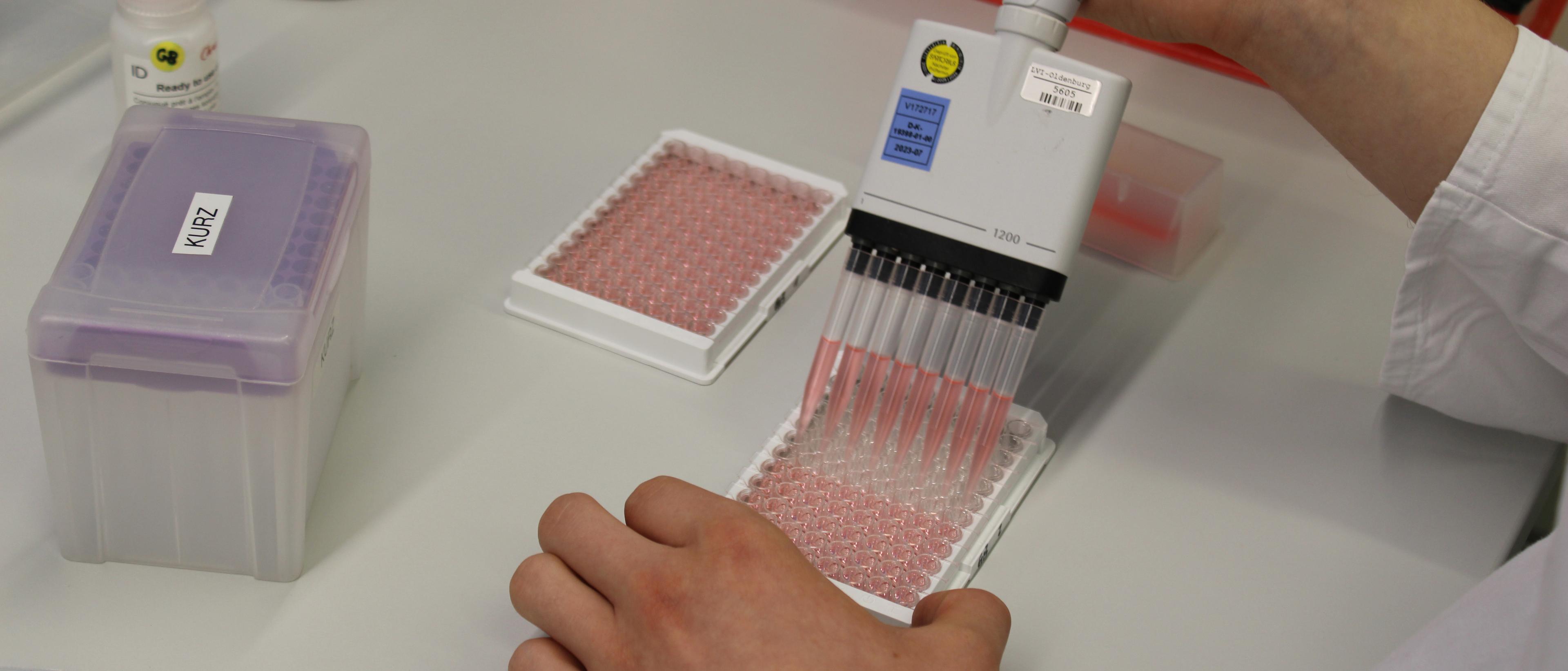 Niedersächsisches Landesamt für Verbraucherschutz und Lebensmittelsicherheit - Zentrale Standort Oldenburg