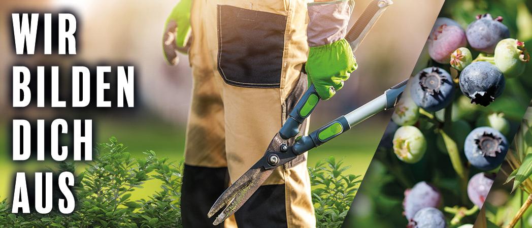 BCM Baumschule Christoph Marken GmbH & Co. KG