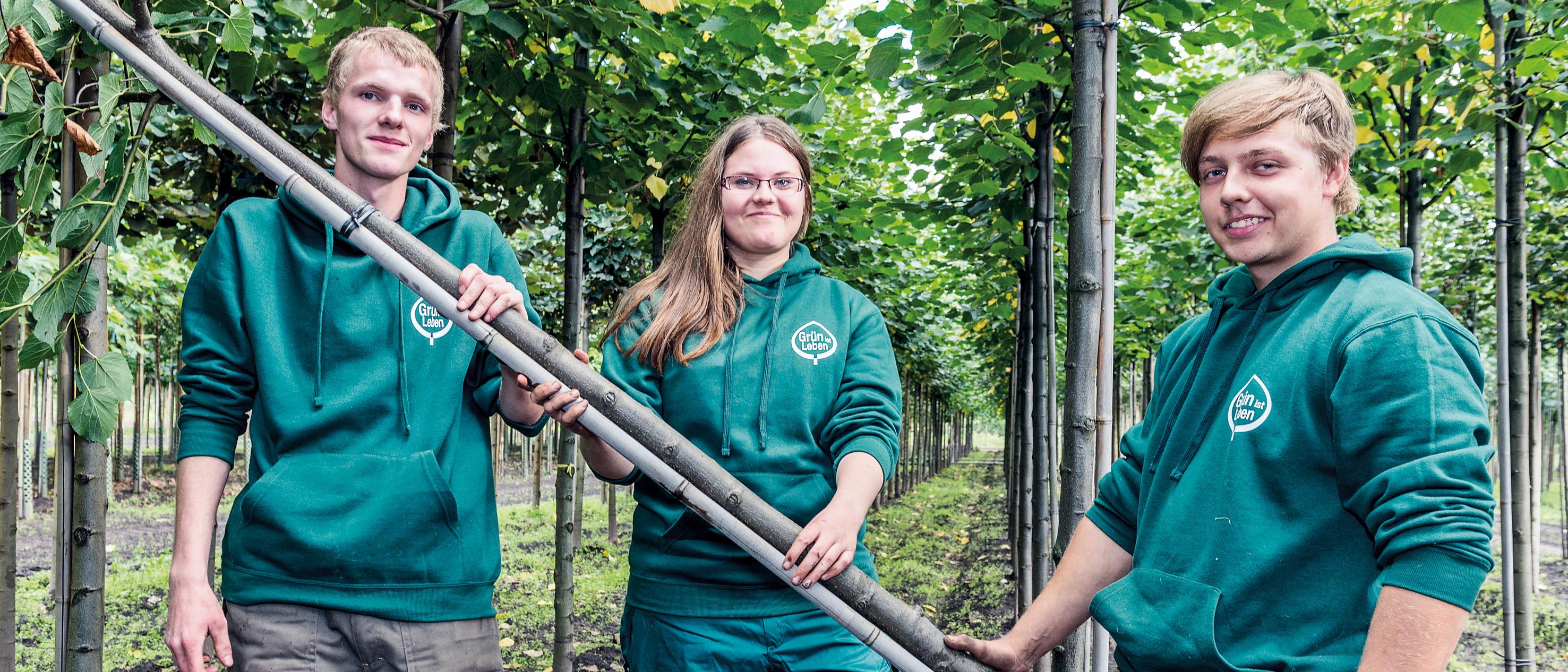 Bund deutscher Baumschulen, Landesverband Weser-Ems e. V.,