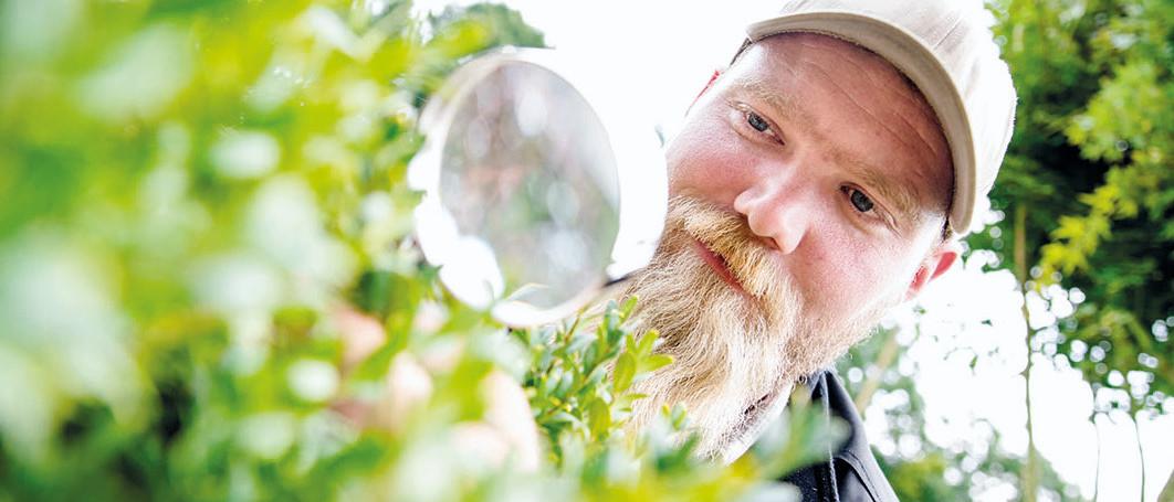 Neumann Pflanzen GmbH