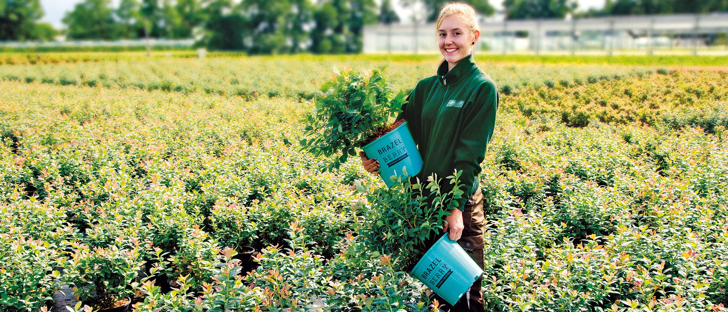 zu Jeddeloh Pflanzenhandels-GmbH