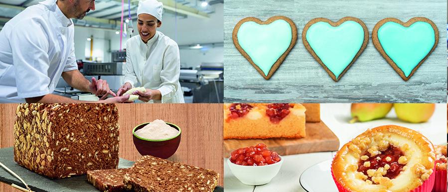 CSM Deutschland GmbH