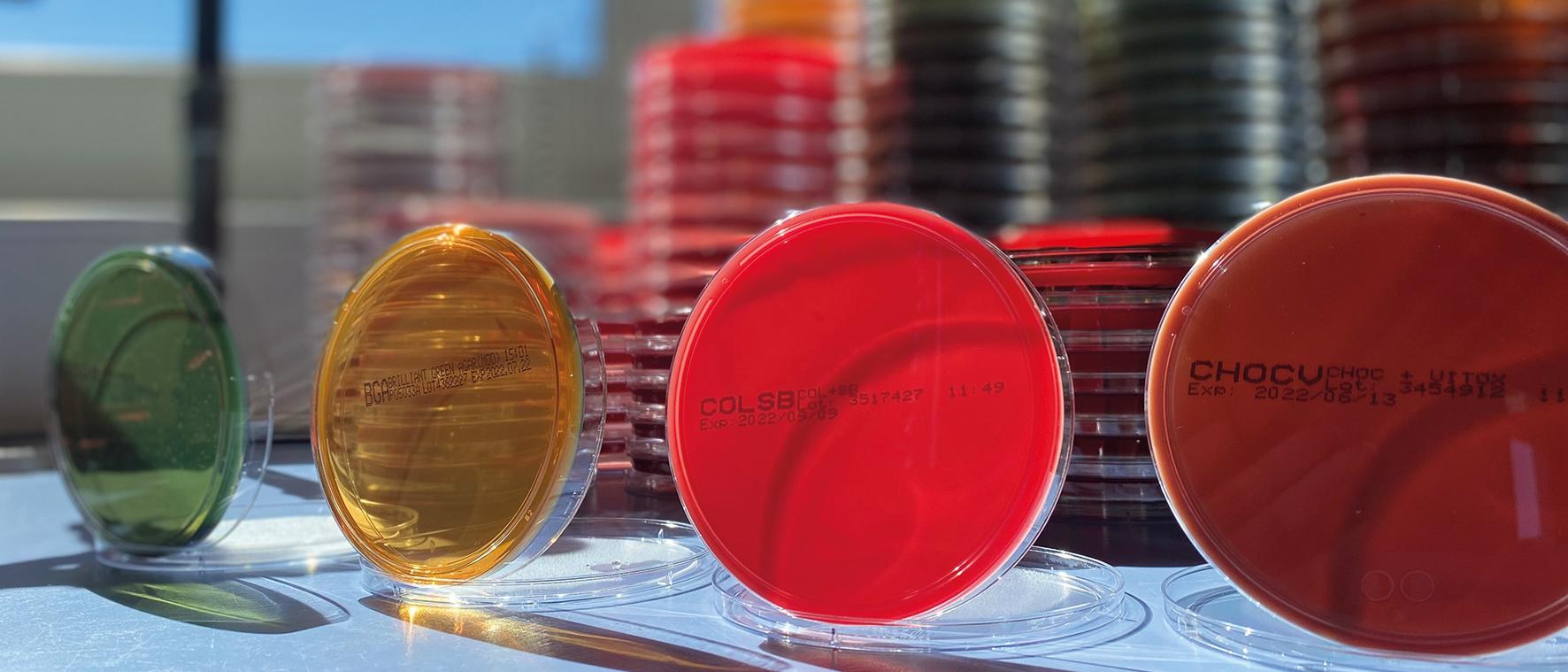 LVL Lebensmittel- und Veterinärlabor GmbH