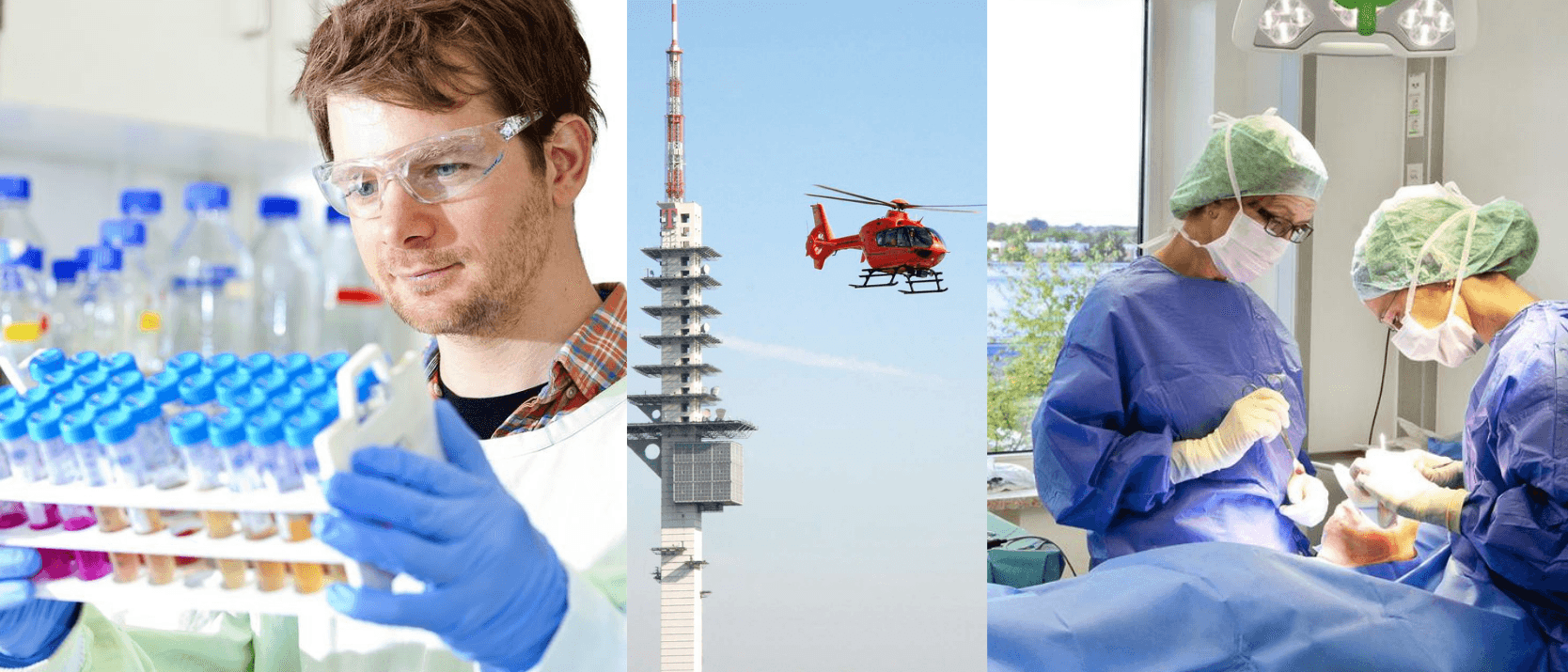 MHH - Medizinische Hochschule Hannover