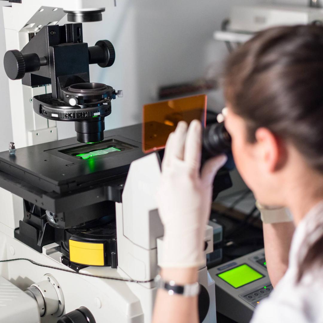 Eine Frau mit Pferdeschwanz in weißem Kittel und Handschuhen betrachtet von hinten ein grün leuchtendes Präparat durch ein Mikroskop mit orange Filter in einem Labor neben Monitor und Geräten.